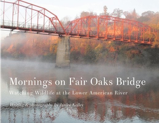 Janice Kelley - Mornings on Fair Oaks Bridge: Watching Wildlife at the Lower American River, Häftad