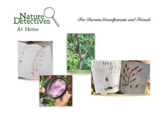 Janice Kelley - Nature Detectives at Home, Häftad