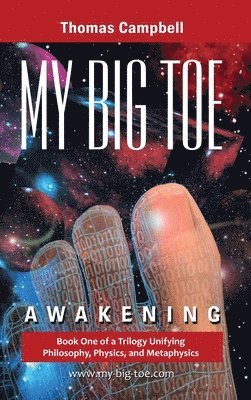 My Big TOE - Awakening H by Thomas Campbell