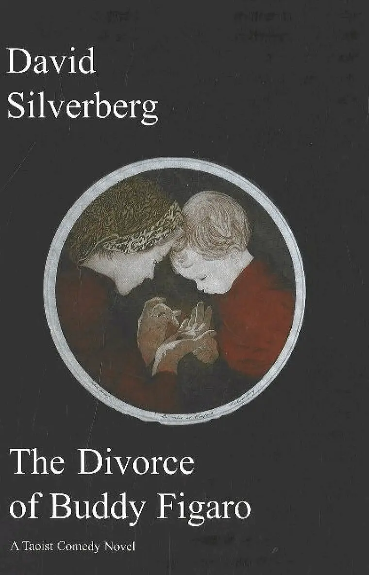 David Silverberg - Divorce of Buddy Figaro, Häftad. Tillgänglighet: Lägg i varukorg