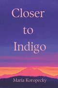 Closer to Indigo