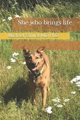 Michael Yanuck - She who brings life, Häftad