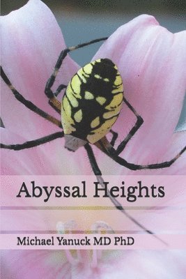 Michael Yanuck - Abyssal Heights, Häftad
