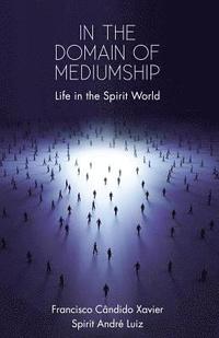 In the Domain of Mediumship: Life in the Spirit World