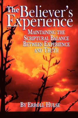 Erroll Hulse - The Believer's Experience, Häftad