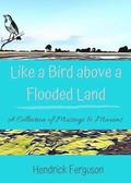 Like a Bird above a Flooded Land: A Collection of Musings & Maxims