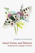 Insect Forms and Patterns Exploring the Language of Nature