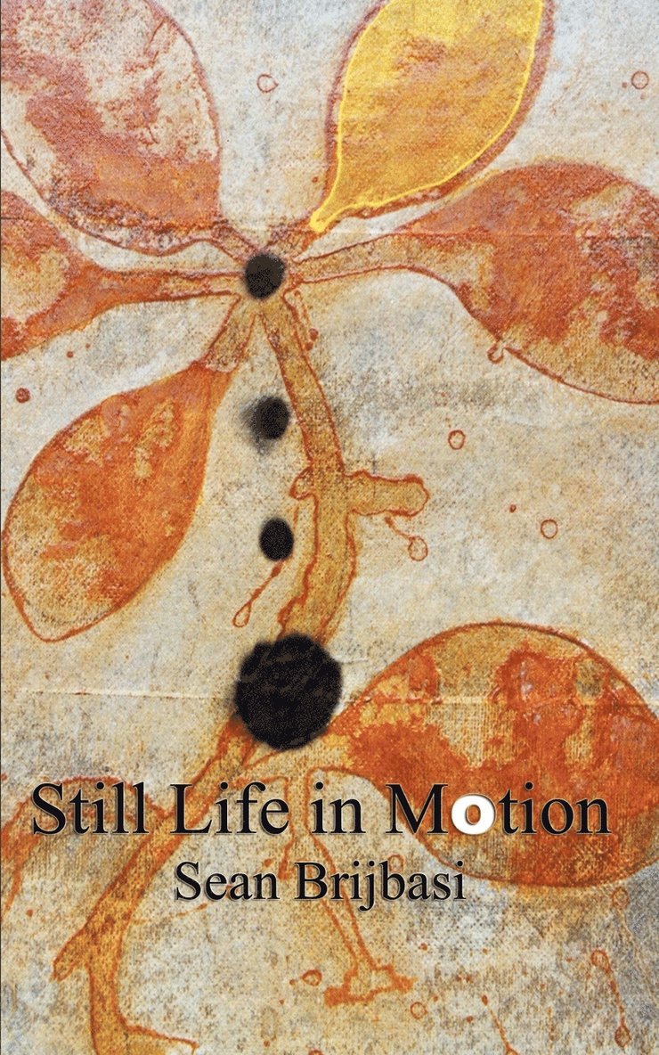 Sean Brijbasi - Still Life in Motion, Häftad