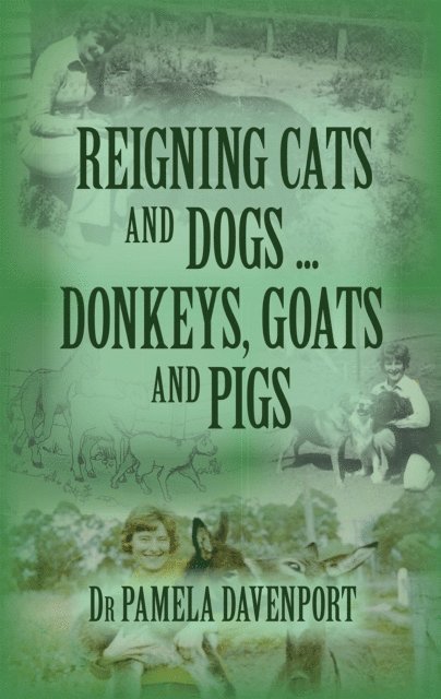 Pamela Davenport - Reigning Cats and Dogs ... Donkeys, Goats and Pigs, E-bok