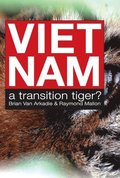 Viet Nam - a Transition Tiger?