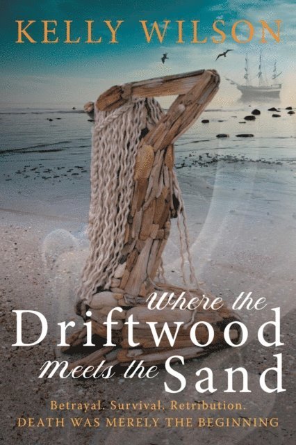 Kelly Wilson - Where the Driftwood meets the Sand, E-bok