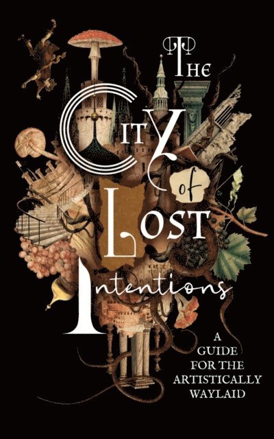A. Valliard - City of Lost Intentions, E-bok