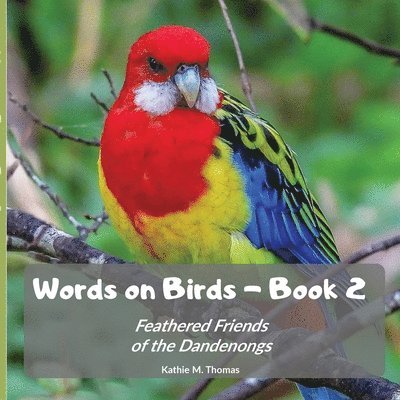 Kathie M Thomas - Words on Birds Book 2, Häftad. Tillgänglighet: Lägg i varukorg