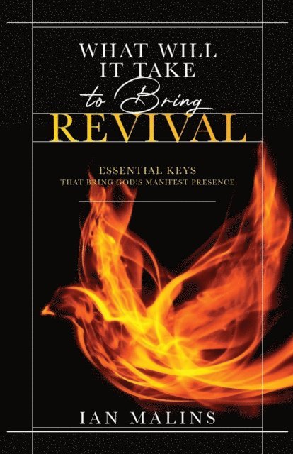 Ian Douglas Malins - WHAT WILL IT TAKE TO BRING REVIVAL, E-bok