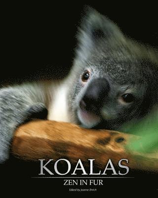 Joanne Ehrich - Koalas: Zen in Fur, Bw Edition, Häftad. Tillgänglighet: Lägg i varukorg