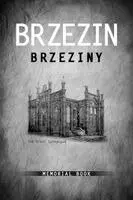 Fay Vogel Bussgang, A Alperin - Brzezin Memorial Book, Inbunden. Tillgänglighet: Lägg i varukorg