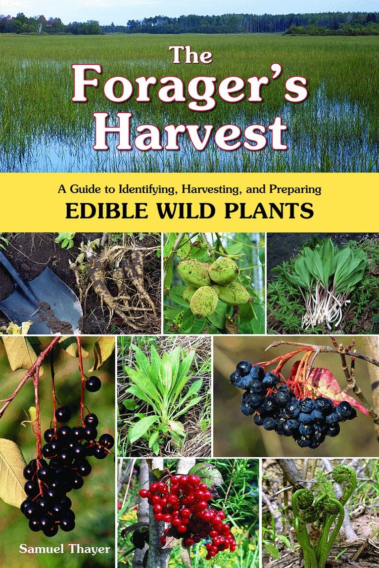 Samuel Thayer - Forager's Harvest, Häftad