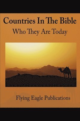 Flying Eagle Publications - Countries In The Bible, Häftad