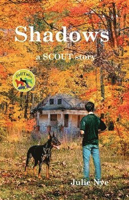 Julie Nye - Shadows, Häftad. Tillgänglighet: Lägg i varukorg
