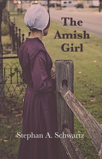 Stephan A. Schwartz - Amish Girl - A Novel of Death and Consciousness, E-bok