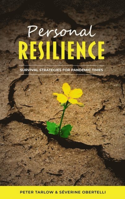 Peter Tarlow, Severine Obertelli, Jacques Island - Personal Resilience, E-bok