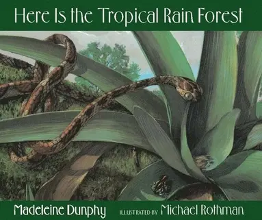 Here Is the Tropical Rain Forest