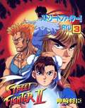 Street Fighter II: v. 3