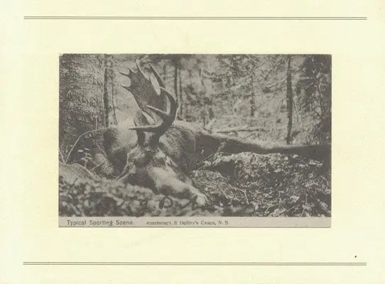 Jason Dickson - The Hunt, Häftad. Tillgänglighet: Tillfälligt slut