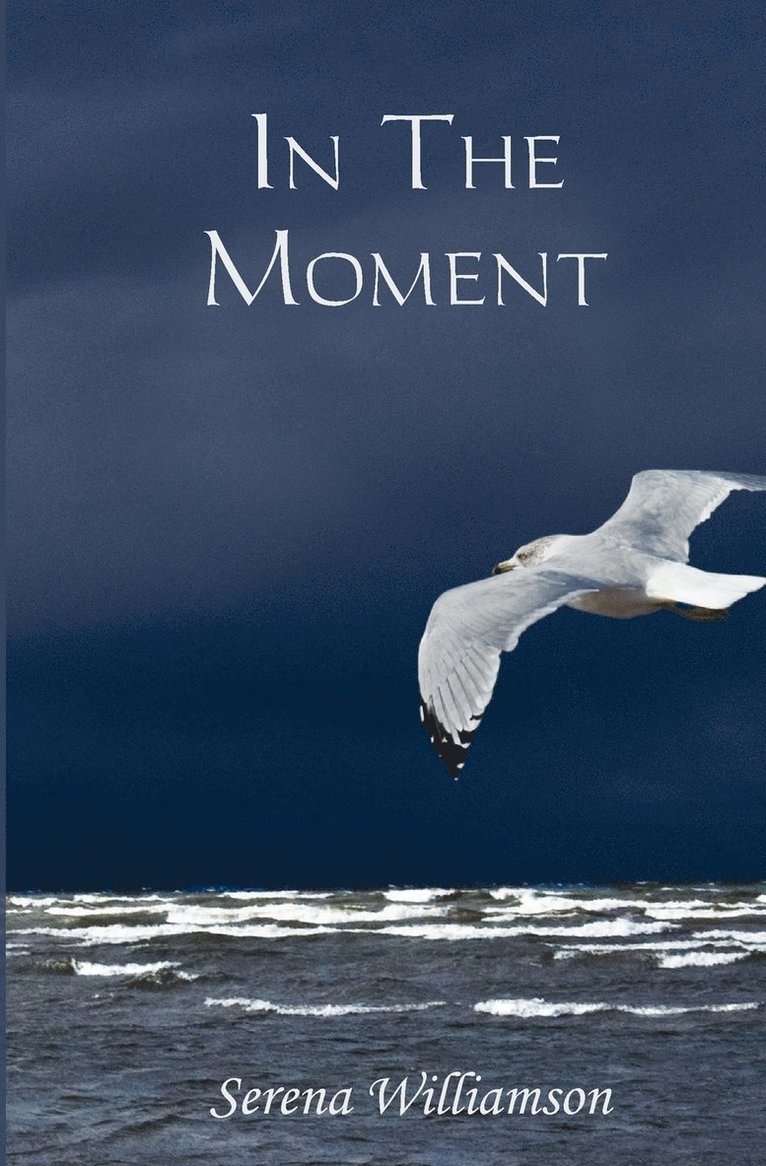 Serena Williamson - In the Moment, Häftad. Tillgänglighet: Lägg i varukorg