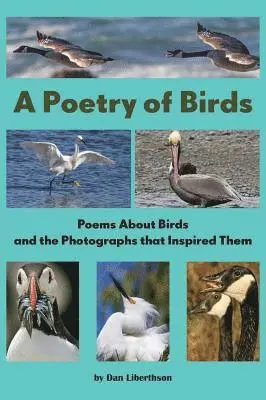 Dan Liberthson - Poetry of Birds, Inbunden. Tillgänglighet: Lägg i varukorg