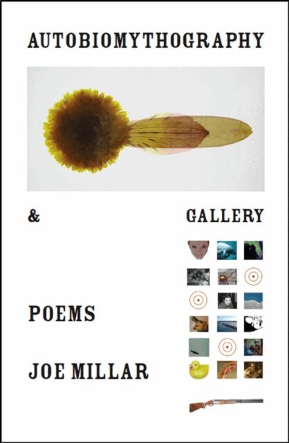 Joe Pan - Autobiomythography & Gallery, E-bok