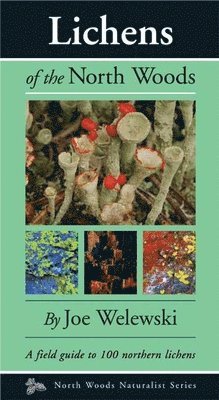 Lichens of the North Woods av Joe Walewski