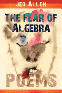 Jed Allen - The Fear of Algebra, Häftad