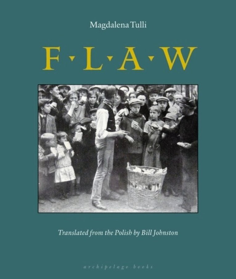 Magdalena Tulli - Flaw, Häftad