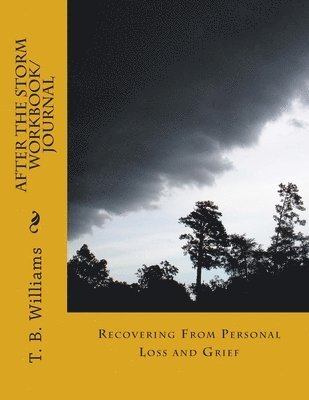 T. B. Williams - After The Storm: Recovering From Personal Loss and Grief, Häftad. Tillgänglighet: Lägg i varukorg
