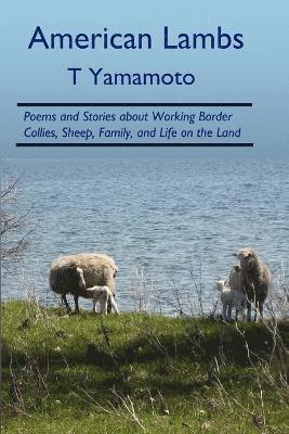 T Yamamoto - American Lambs, Häftad