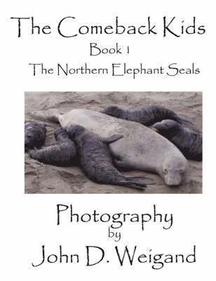 Penelope Dyan, John D. Weigand - "The Comeback Kids" Book 1, The Northern Elephant Seals, Häftad. Tillgänglighet: Lägg i varukorg