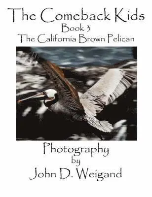 Penelope Dyan - Comeback Kids, Book 3, the California Brown Pelican, Häftad. Tillgänglighet: Lägg i varukorg