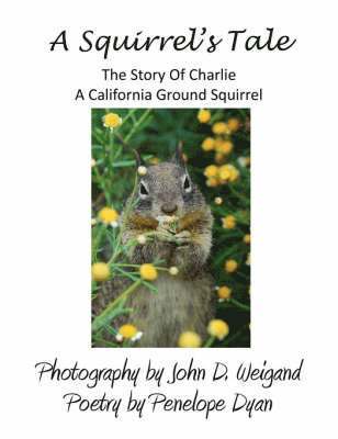 Squirrel's Tale