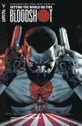 Bloodshot Volume 1