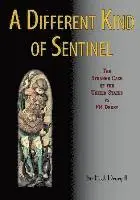 II Drury, E. J. - A Different Kind of Sentinel: The Strange Case of the United States vs FR Drury, Häftad. Tillgänglighet: Lägg i varukorg