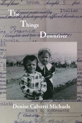 Denise Calvetti-Michaels - The Things Downriver, Häftad