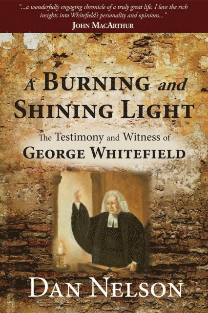 Dan Nelson - Burning and Shining Light, E-bok