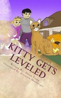 Kitty Gets Leveled
