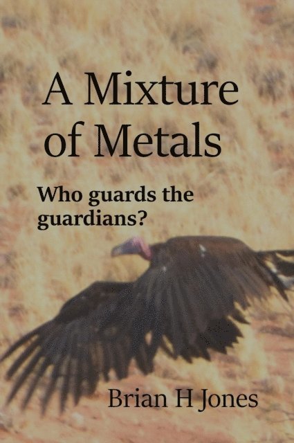 Brian H Jones - Mixture of Metals, E-bok