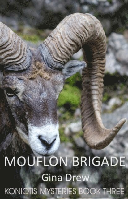 Gina Drew - Mouflon Brigade: Terrorists in the Mountains, E-bok