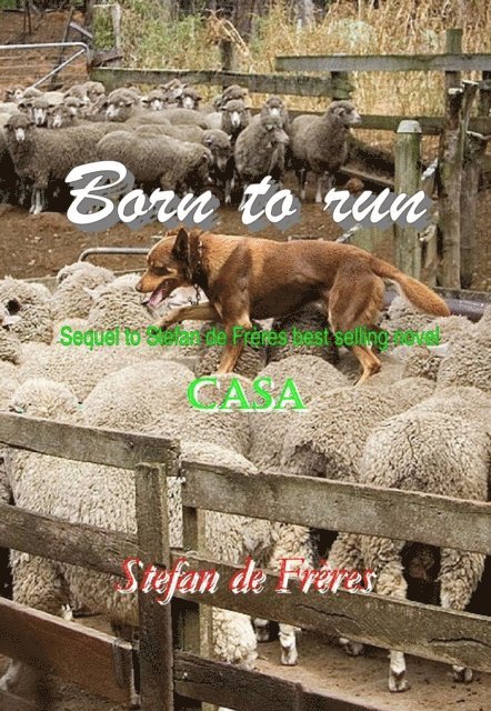 Stefan de Freres - Born to run, E-bok