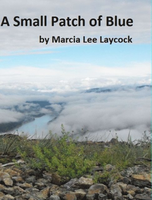 Marcia Lee Laycock - Small Patch of Blue, E-bok