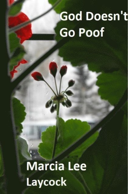 Marcia Lee Laycock - God Doesn't Go Poof, E-bok