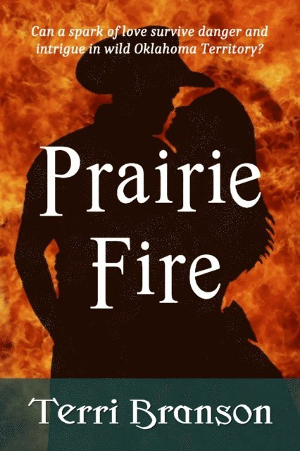 Terri Branson - Prairie Fire, E-bok